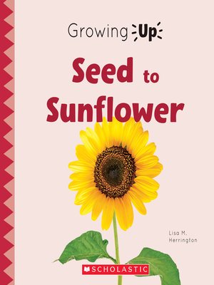 cover image of Seed to Sunflower